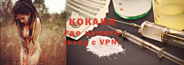 spice Новодвинск