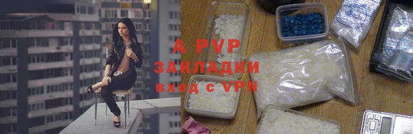 spice Новодвинск