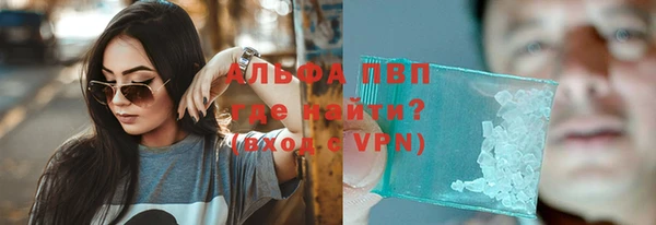 spice Новодвинск