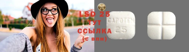 spice Новодвинск