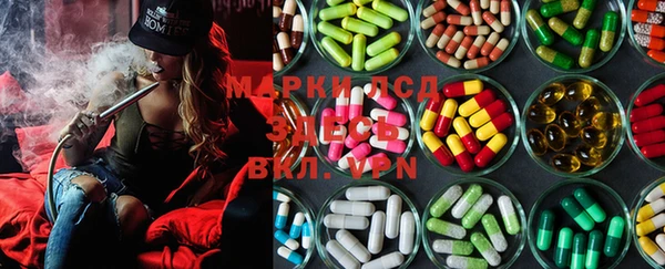 spice Новодвинск