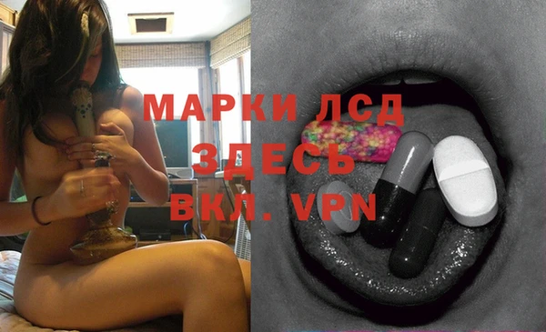 spice Новодвинск