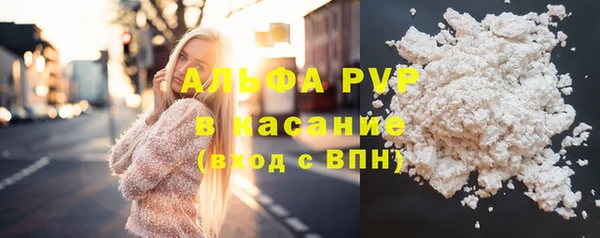 spice Новодвинск